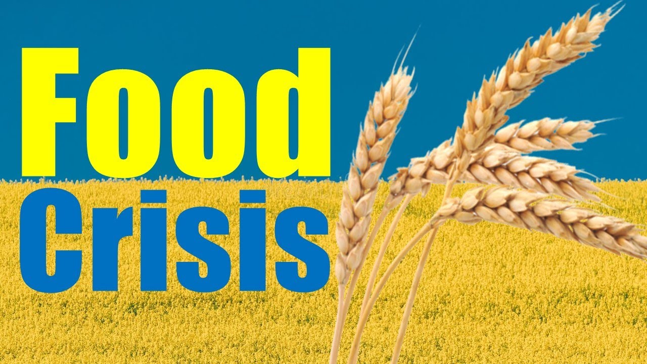 How The War in Ukraine Will Affect Third World Food Prices