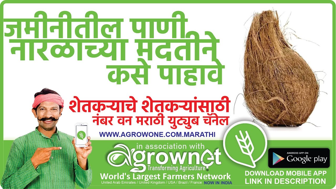 जमीनीतील पाणी नारळाच्या मदतीने कसे पाहावे जमीनीतील पाण्याचा शोध कसा घ्यायचा ?