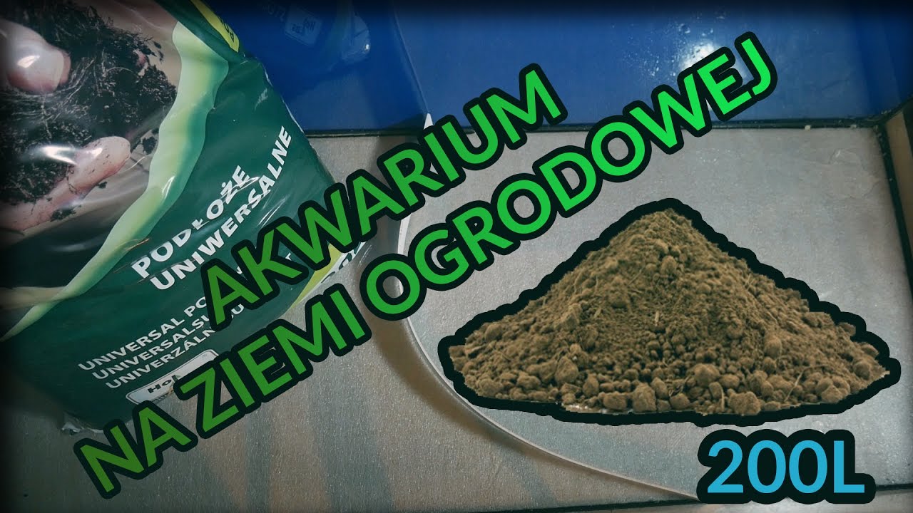 Jak założyć akwarium na ziemi ogrodowej? - 200L