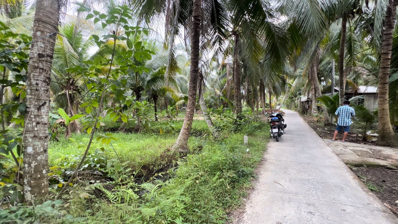 @T2008 Giá Rẻ Nè 440 Triệu Có Thổ Cư Đường Đan Diện Tích 245 M2 (Có Tặng Quà Tết )