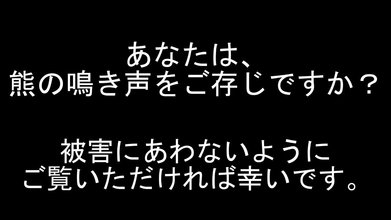 【熊】【注意喚起】年中、熊が出る時代…この鳴き声を聞いたら熊ですよ！被害が多いので、熊に遭遇したシーンの総集編にしました。