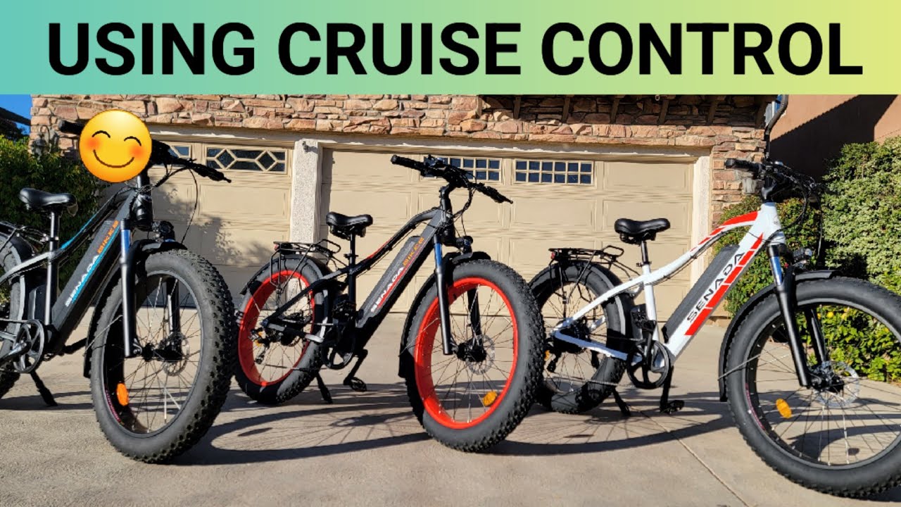 How to use Cruise Control on Senada Saber / Saber Pro / Herald / Herald Pro