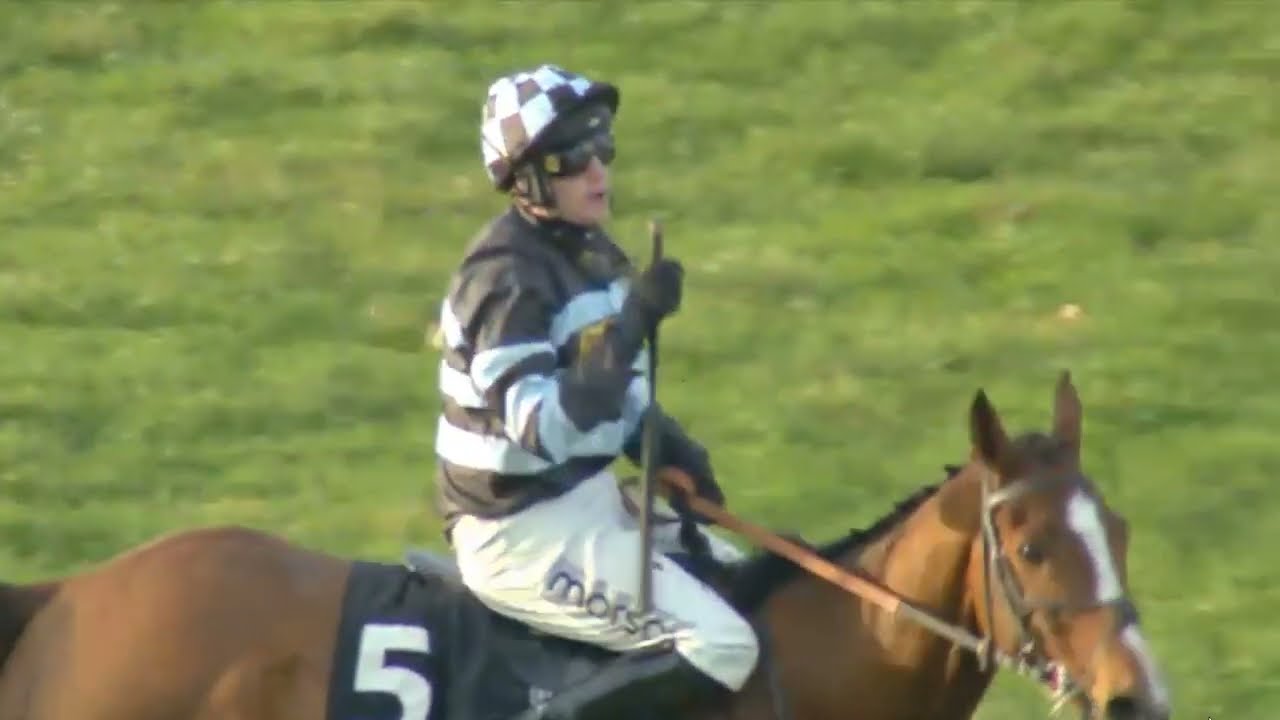 Came From Nowhere Dominates! | Ascot R5 Holloway's Handicap Hurdle Results (17 Jan 2026)