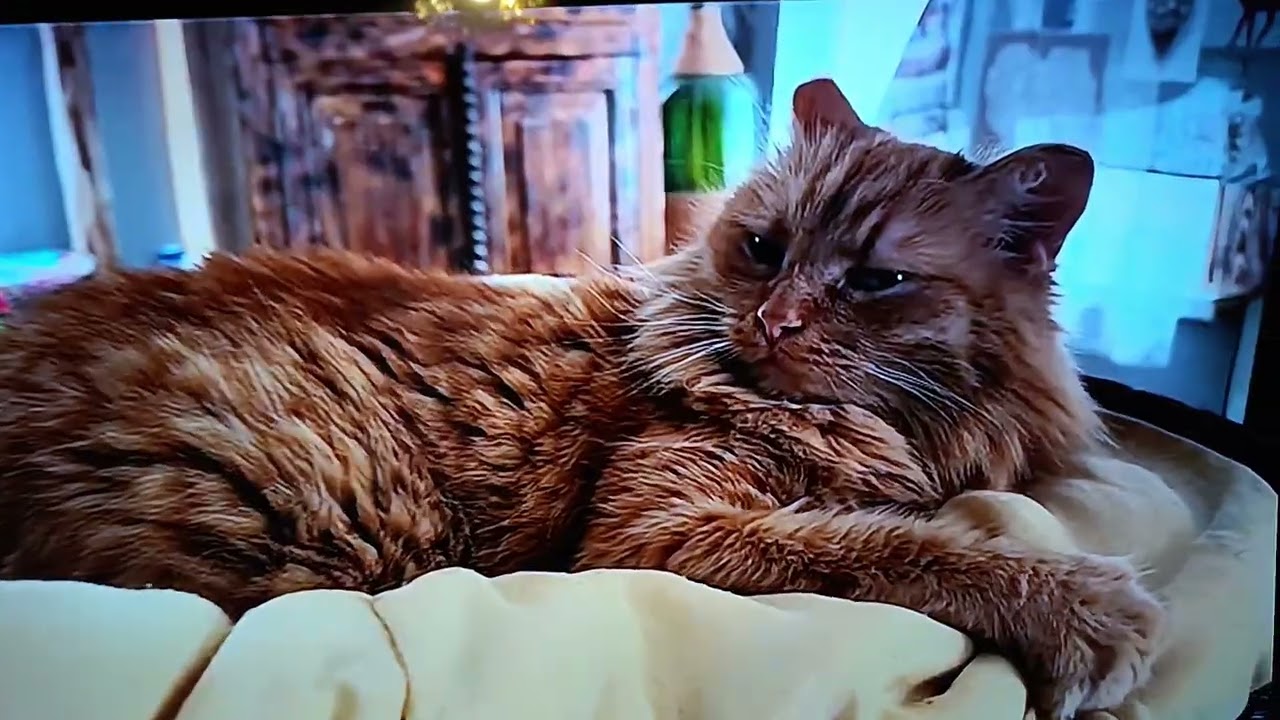 С Кузяхой рекомендуем, канал Артура, выходные мы🤗😘❤