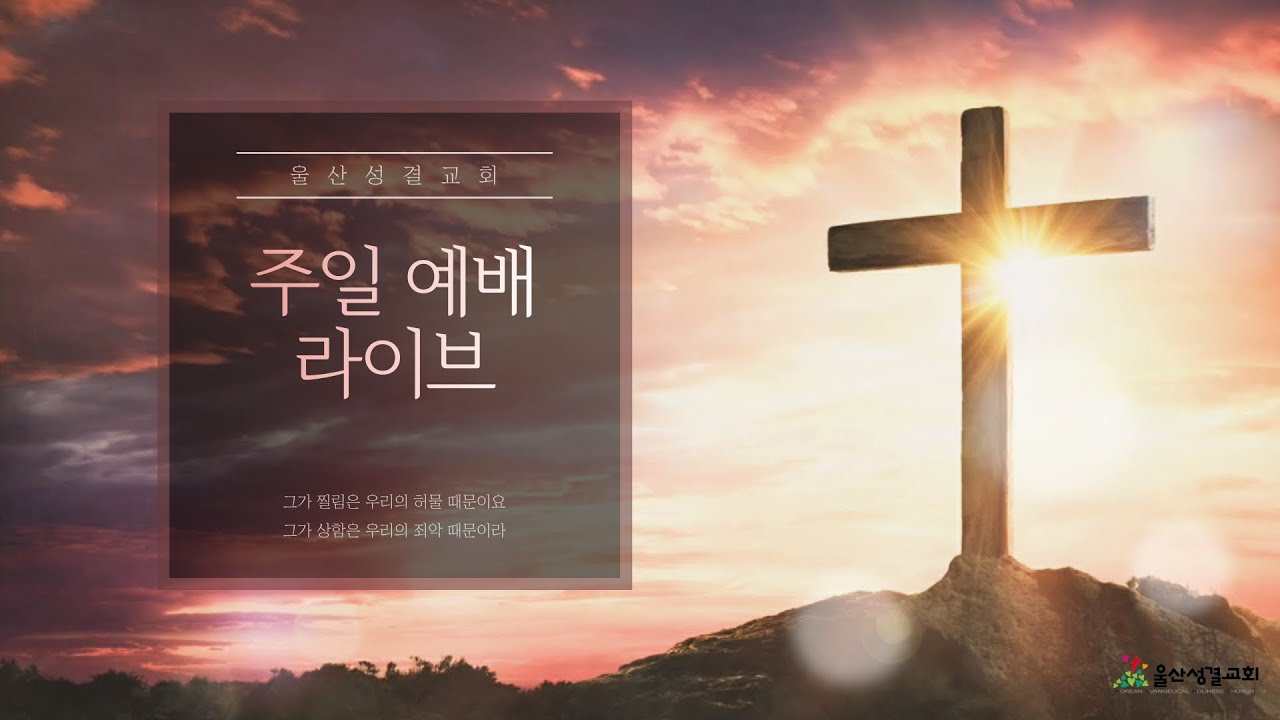 [울산성결교회] 주일 1부 예배 라이브ㅣ2026.01.11ㅣ겨자씨 믿음ㅣ한대수 목사