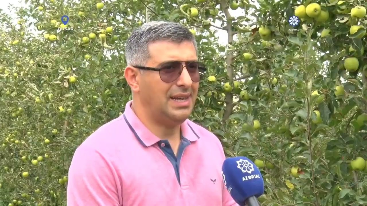 Qusar rayonu ölkəmizdə intensiv bağçılığın inkişafında önəmli yerlərdən birini tutur