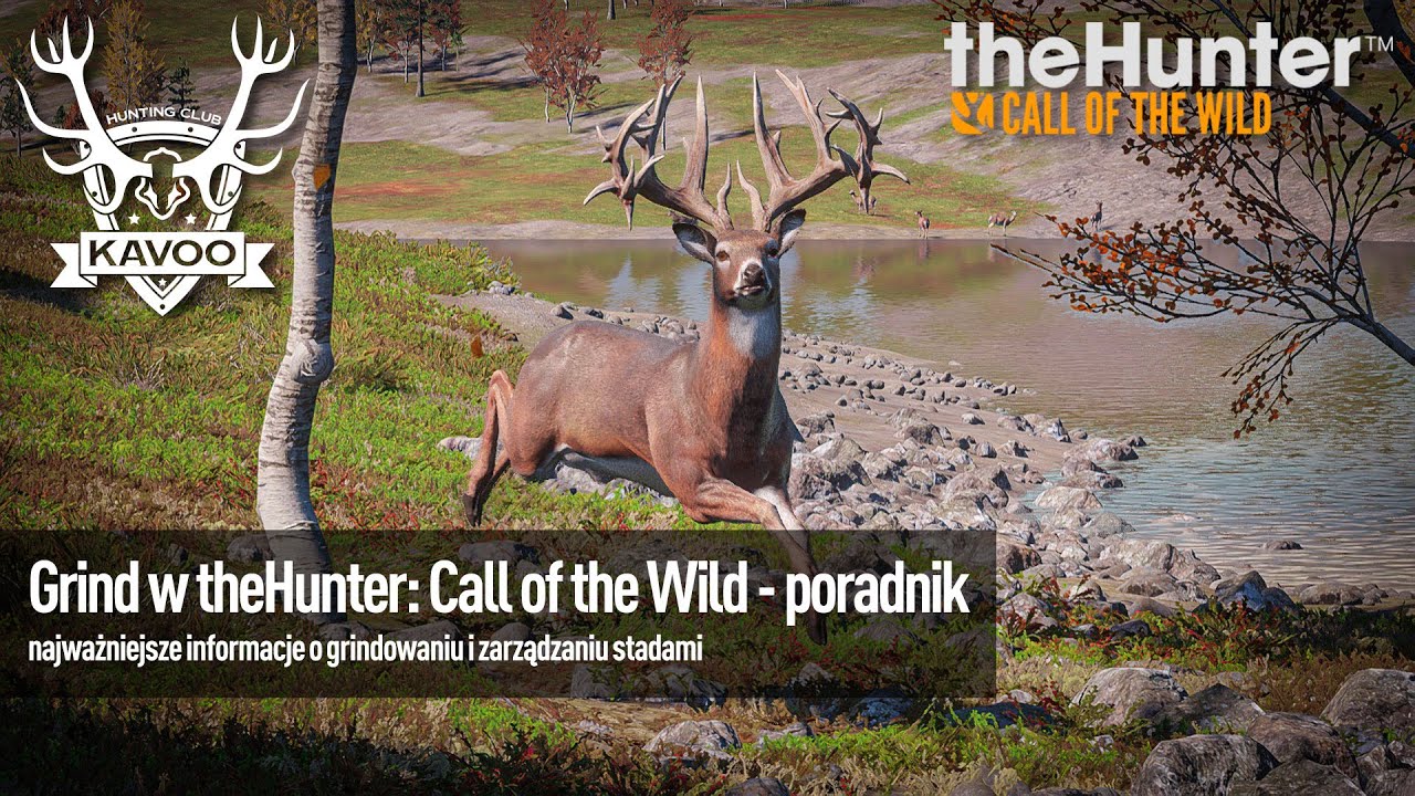 [2023] theHunter: Call of the Wild | Grind i herd management - poradnik (guide)