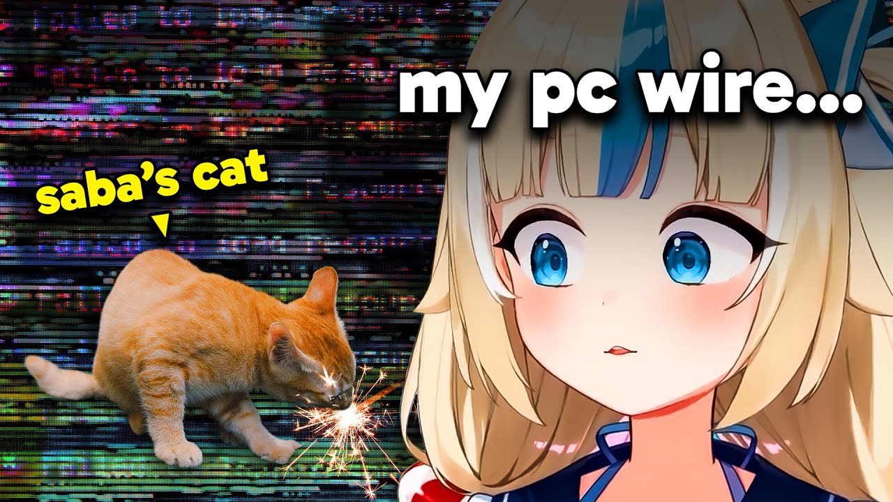 Saba's cat tries to sabotage her stream