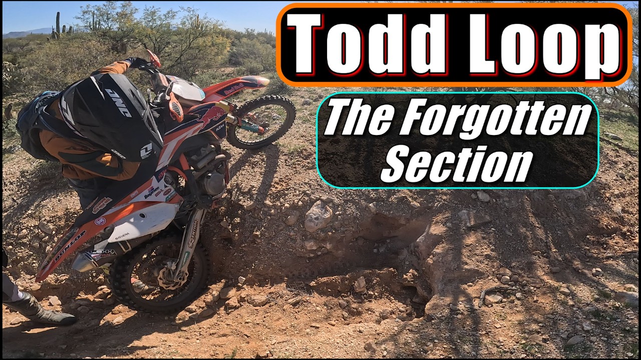 Todd Loop - The Forgotten Section