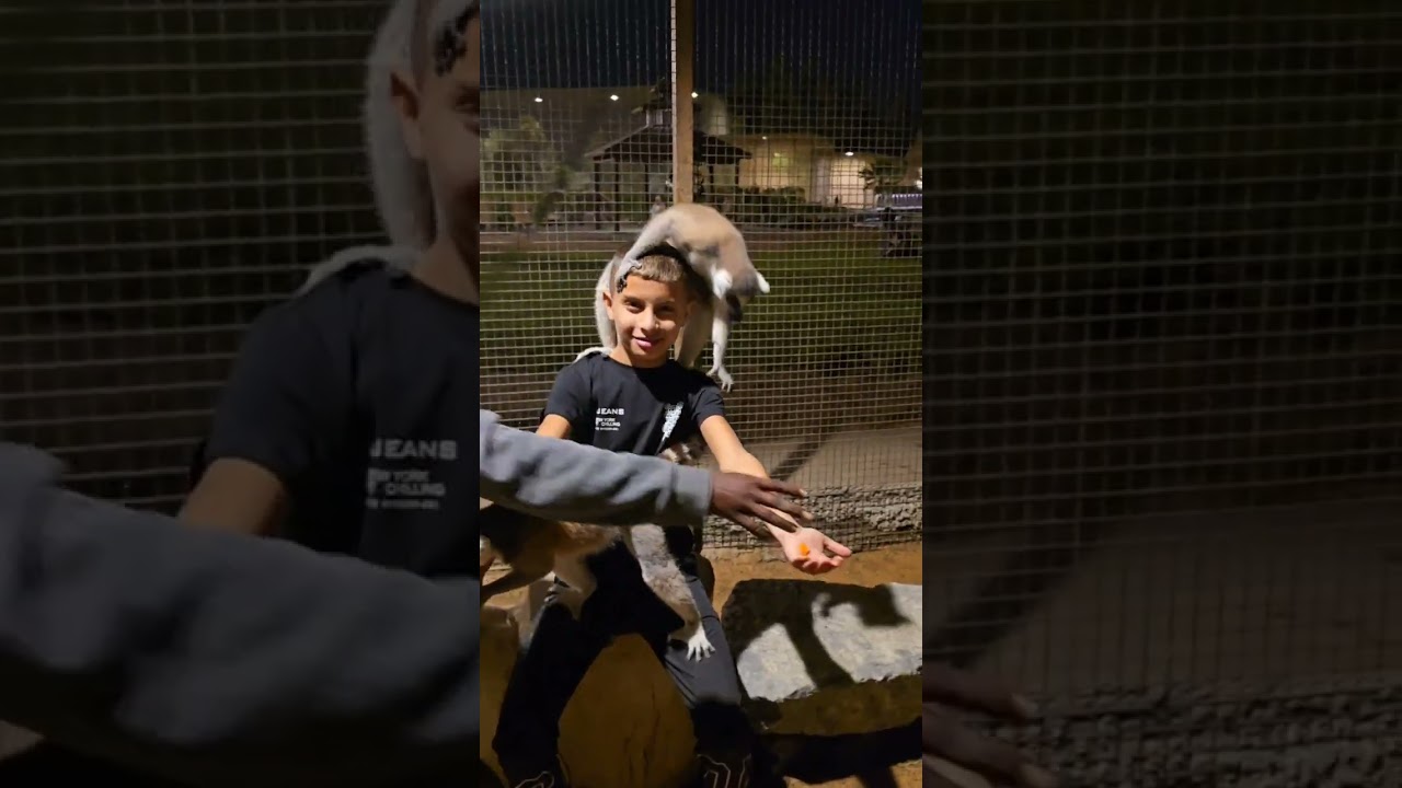 منير وفارس الوحيدي ومروان حمدوني في دبي  25/11/25