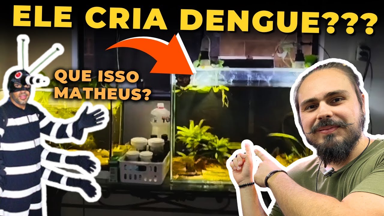 🔴ELE CRIA LARVA DA DENGUE PARA OFERECER AOS PEIXES ( OS AQUÁRIOS DO MATHEUS ) |Mr. Betta|
