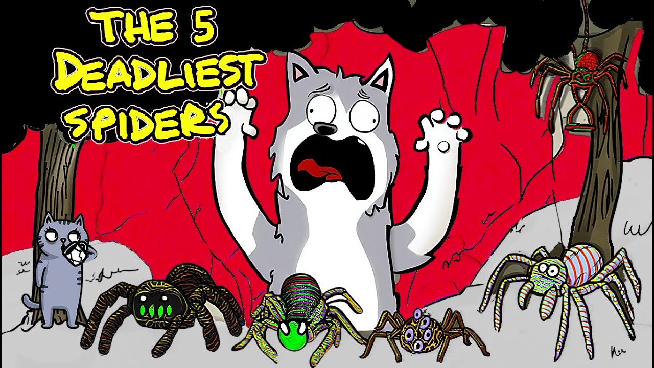 What It's Like To Fight The World's Deadliest Spiders!?