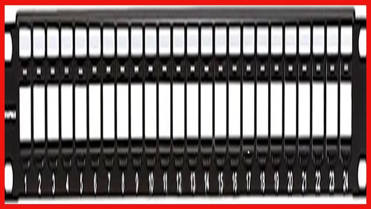 Organize Your Network Like a Pro with This 24-Port Keystone Patch Panel