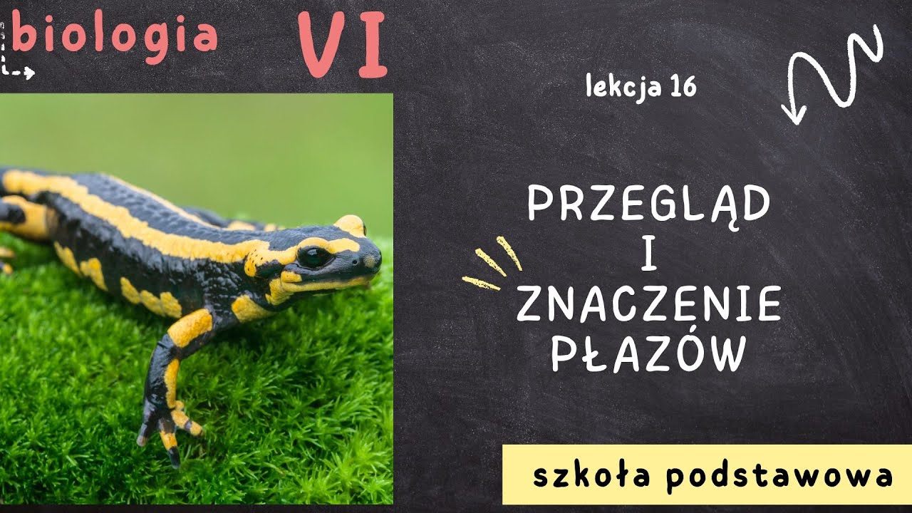 Biologia klasa 6 [Lekcja 16 - Przegląd i znaczenie płaz&oacute;w]