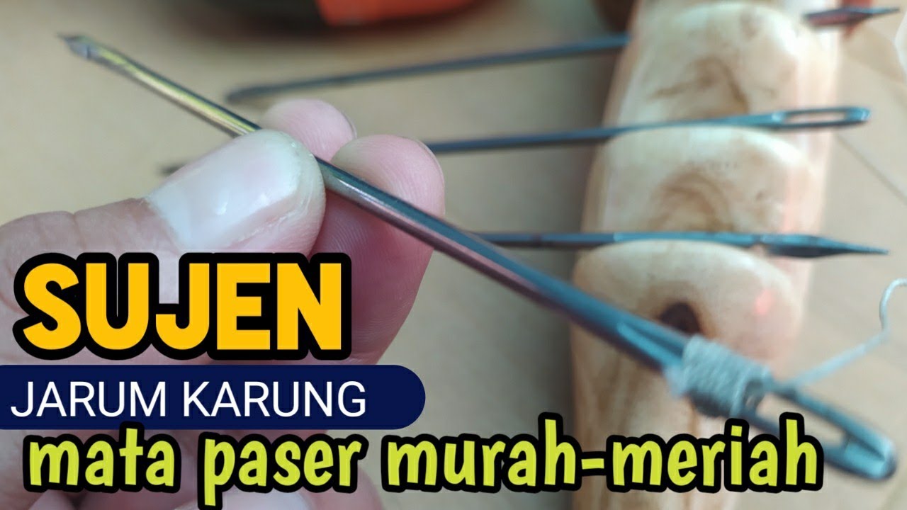JARUM KARUNG || my sujen my adventure 🐟