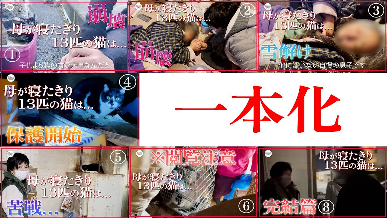 【一本化】崩壊…母は寝たきりに１３匹の猫の行く末は？：639~646