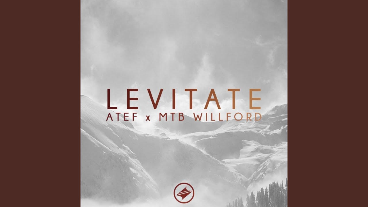 Levitate (with MTB Willford)