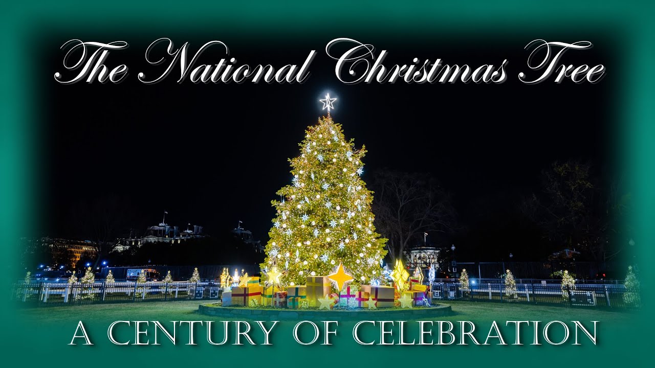 The National Christmas Tree - A Century of Celebration