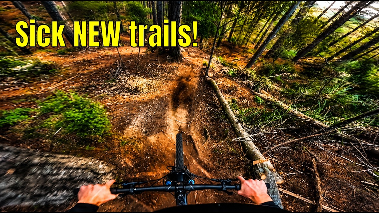 NEW trails at WOODHILL!