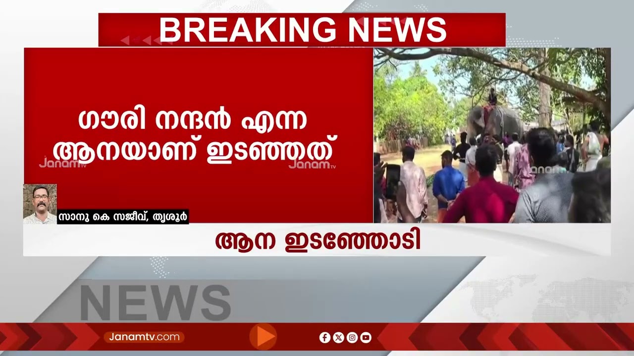 കല്ലട വേല ആഘോഷത്തിൻ്റെ ഭാഗമായി എത്തിച്ച ഗൗരി നന്ദൻ എന്ന ആന ഇടഞ്ഞോടി | THRISSUR