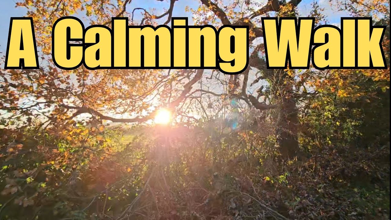 Exploring Temple Newsam Park | A Calming Friday Walk Among the Trees