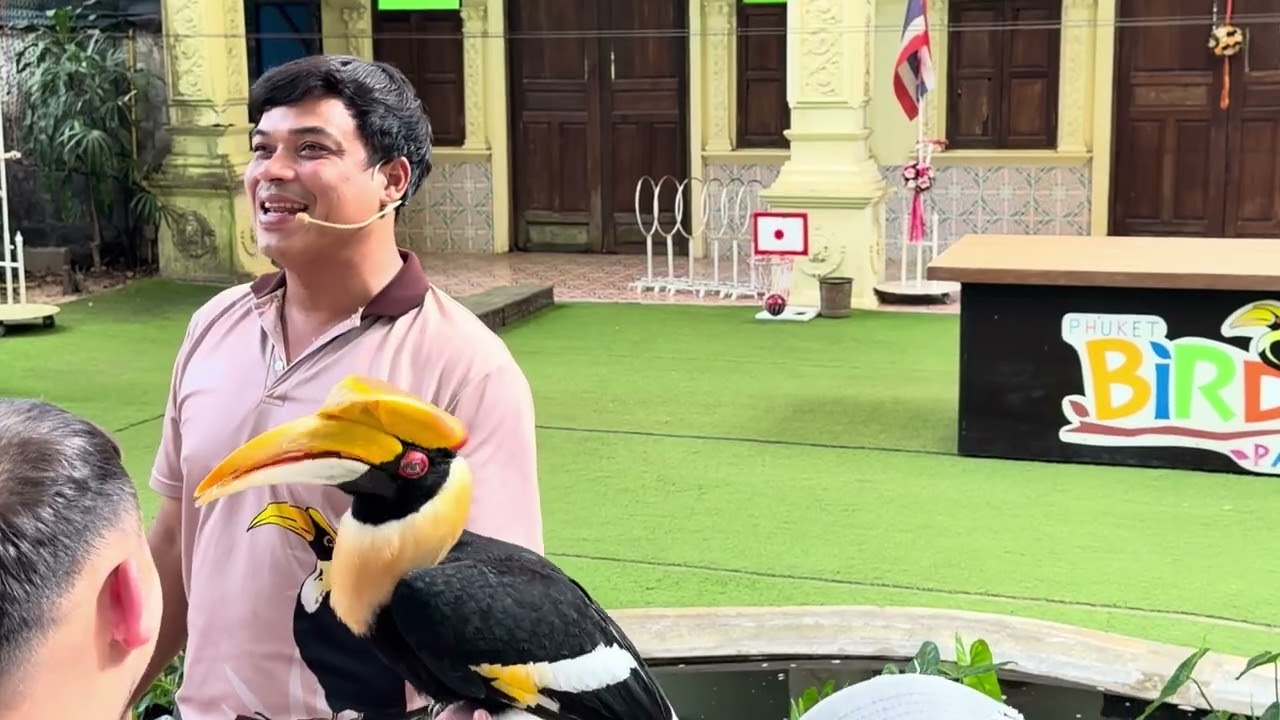 Парк птиц Пхукета. 