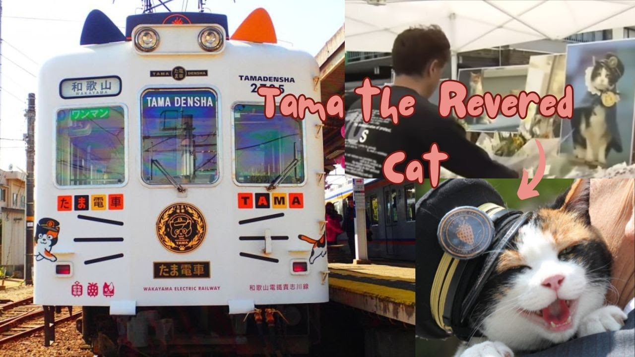 How a Cat Saved a Train Station: The Story of Tama The Cat Station Master #truestory