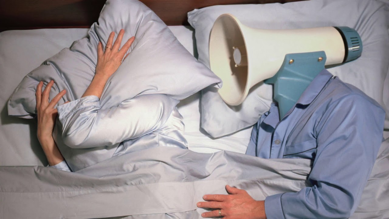 10 Minutes Snoring Sound | Best Audio Quality