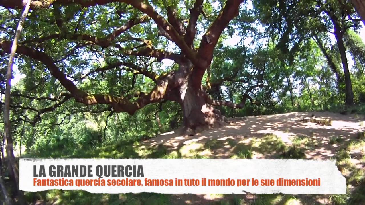 Gruppo MTB Dove a Lucca - Colletti di Veneri - Grande Quercia - Torretta Porcari