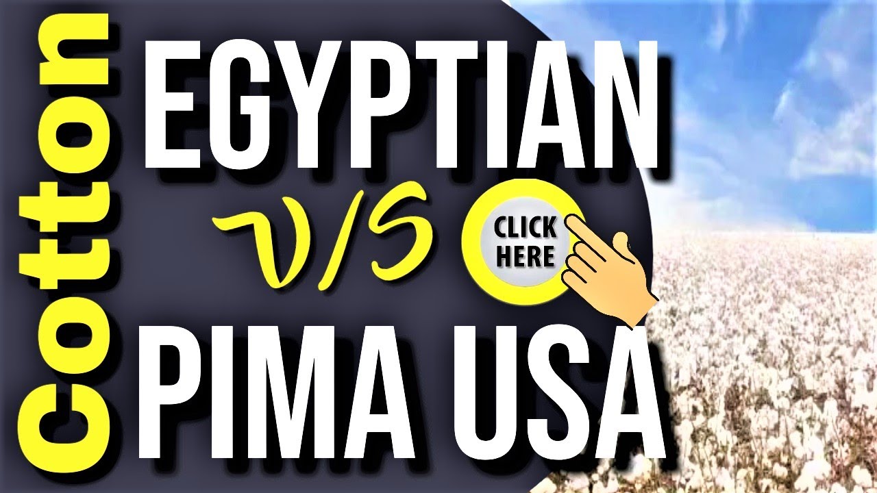 Egyptian Cotton (Giza) V/S PIMA Cotton USA - What's The Difference #Cotton #Textiles #Apparel #Yarn