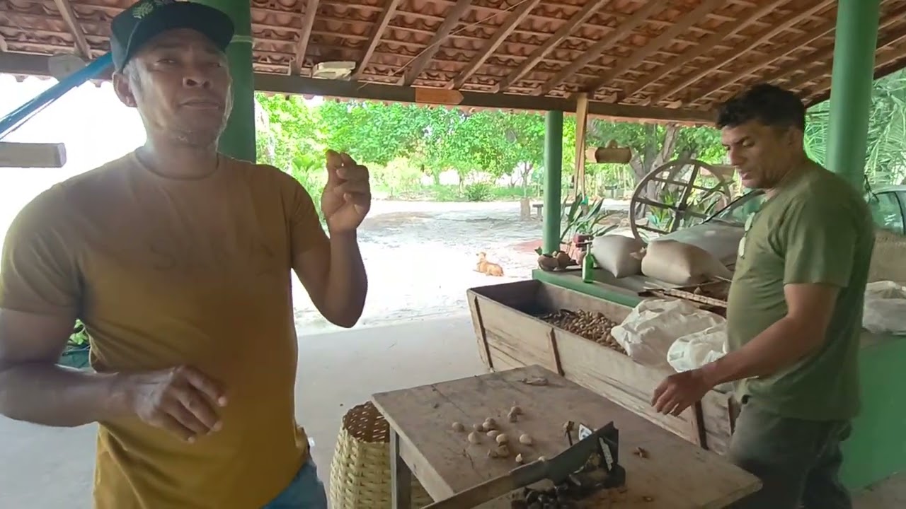 Chico museu explicando o que é CARRASPANHA