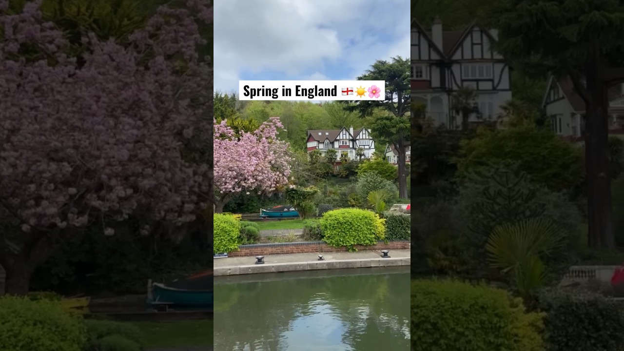 Spring in the best season in England 🌸🏴󠁧󠁢󠁥󠁮󠁧󠁿☀️#england #uk #spring #peaceful #peace #travel