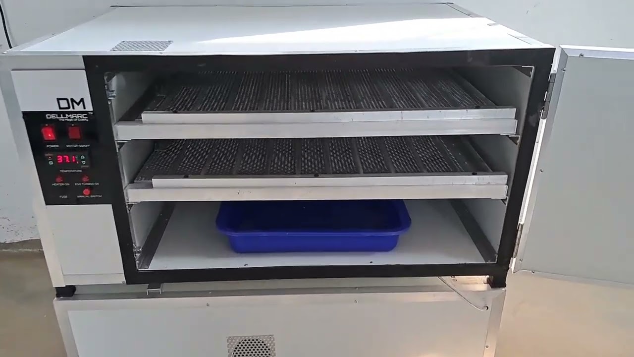 Best 200 Egg Incubator from Dellmarc #quaileggs #chicken #incubator