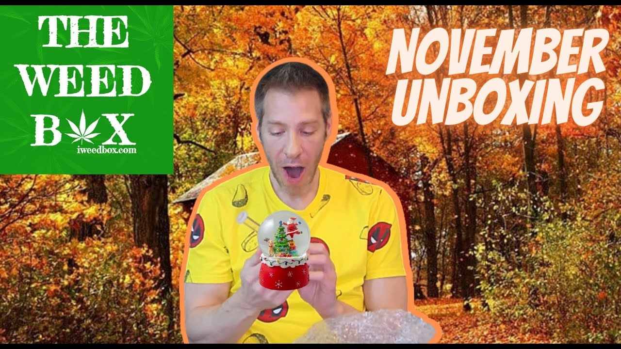 The Weed Box November 2023 Unboxing | GoStoner Reviews