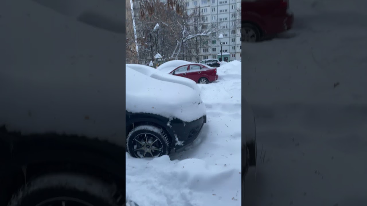 Снежный понедельник #утро, #зима, #погода