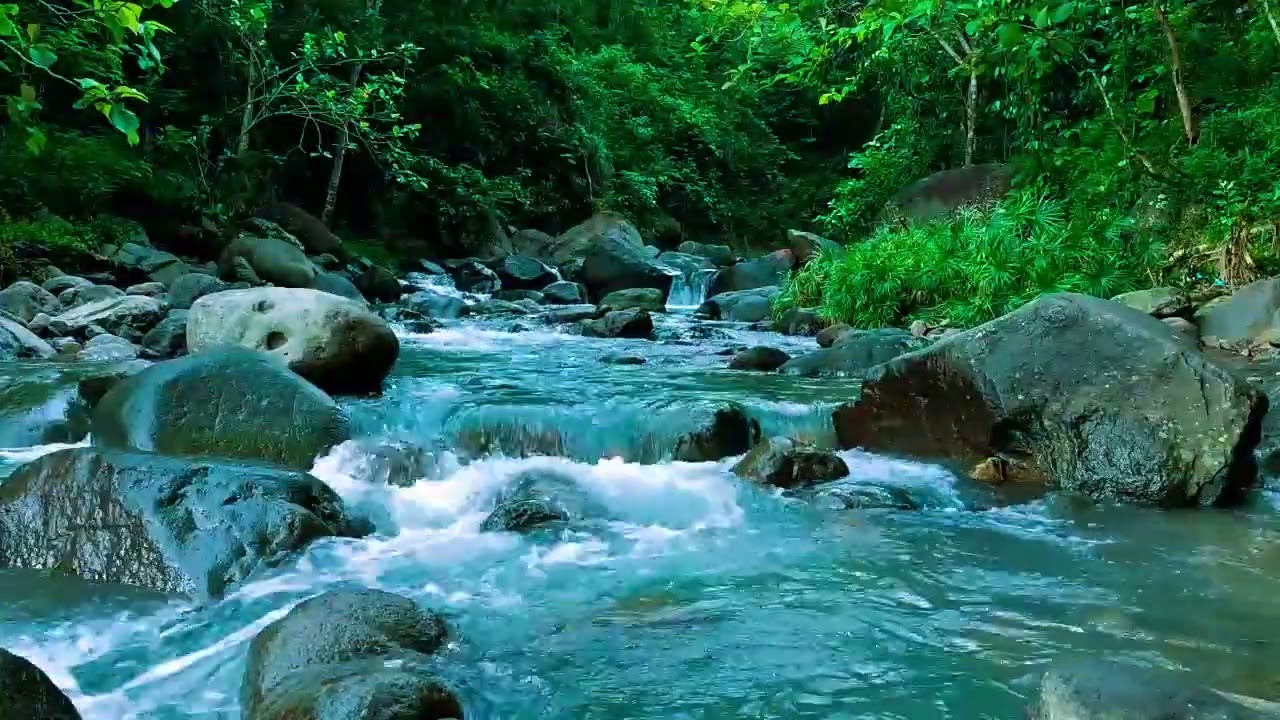 Relaxing Nature Sounds for Deep Sleep, Stream Sounds, Forest Sounds