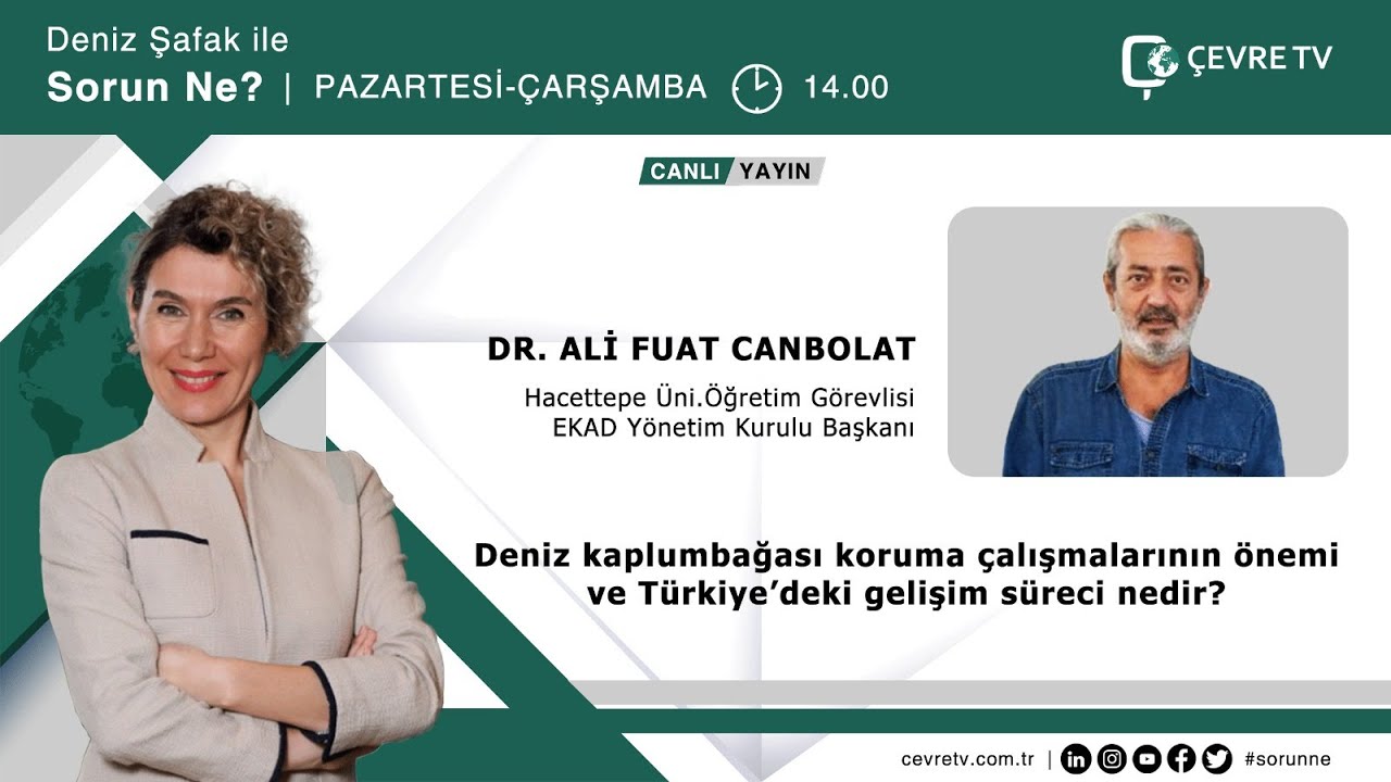 #ÇevreTV I Caretta carettaların nesli mi tükeniyor? I EKAD Başkanı Dr. Ali Fuat Canpolat