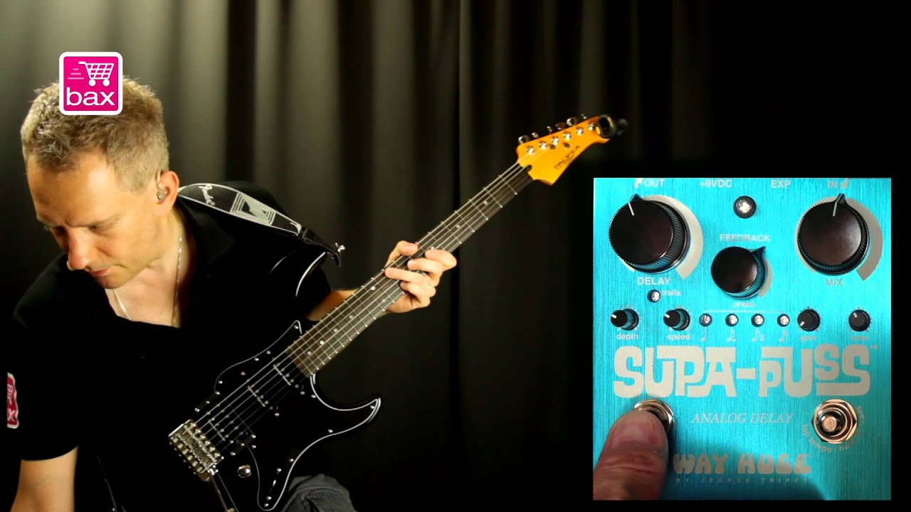 Way Huge WHE707 Supa Puss Analog Delay Effectpedaal Review | Bax Music
