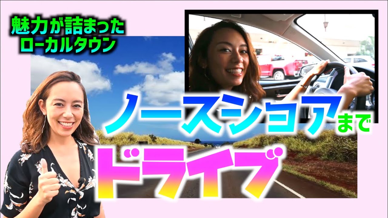 【ハワイでレンタカー！】ノースショアドライブ🚘~前編~