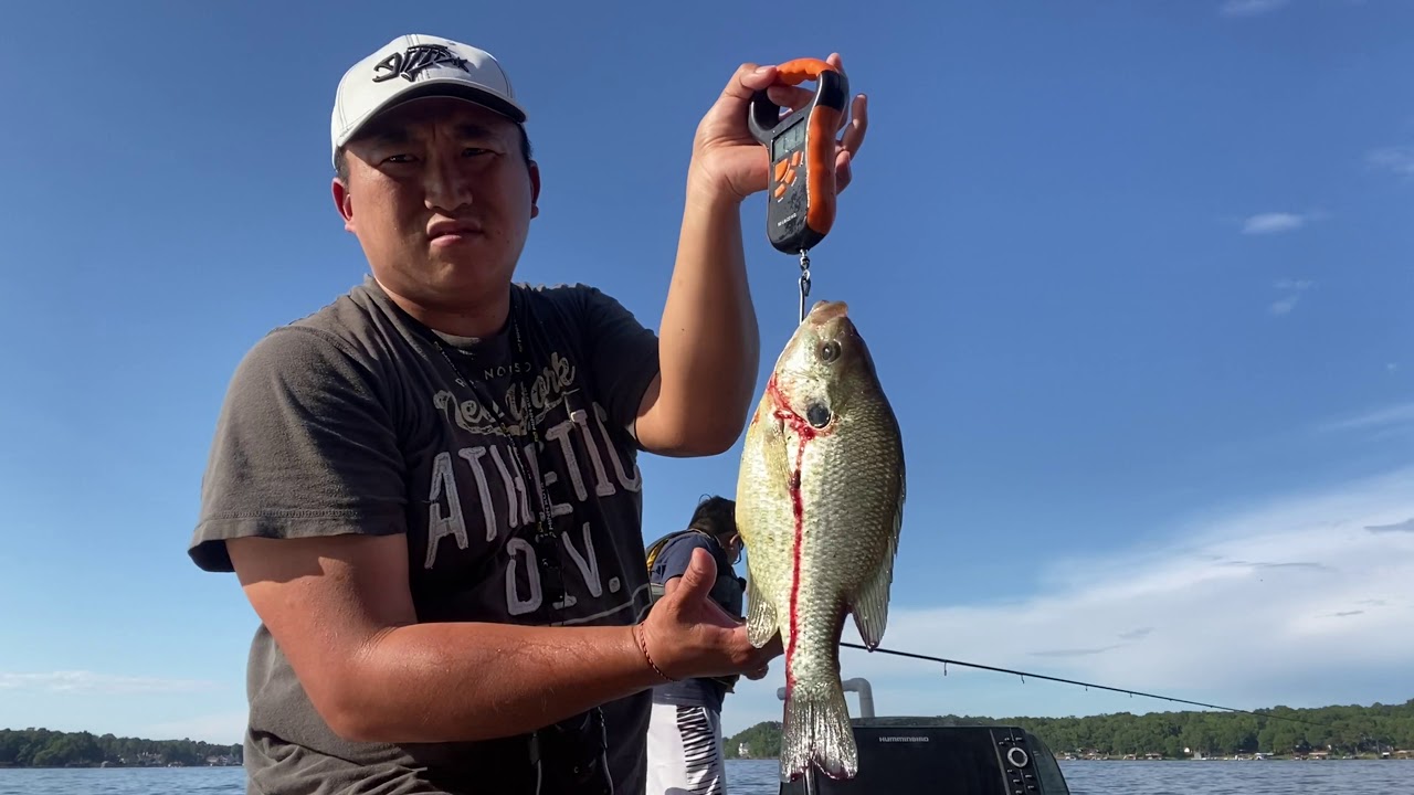 Lake Tillery summer crappie and shellcracker fishing