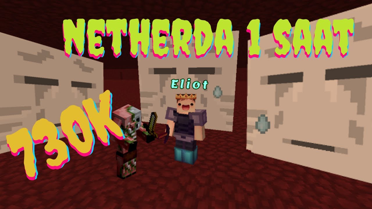 NETHER MOBTRAP PARA KASMA - 1 Saat Serisi #2 Sonoyuncu Titanyum