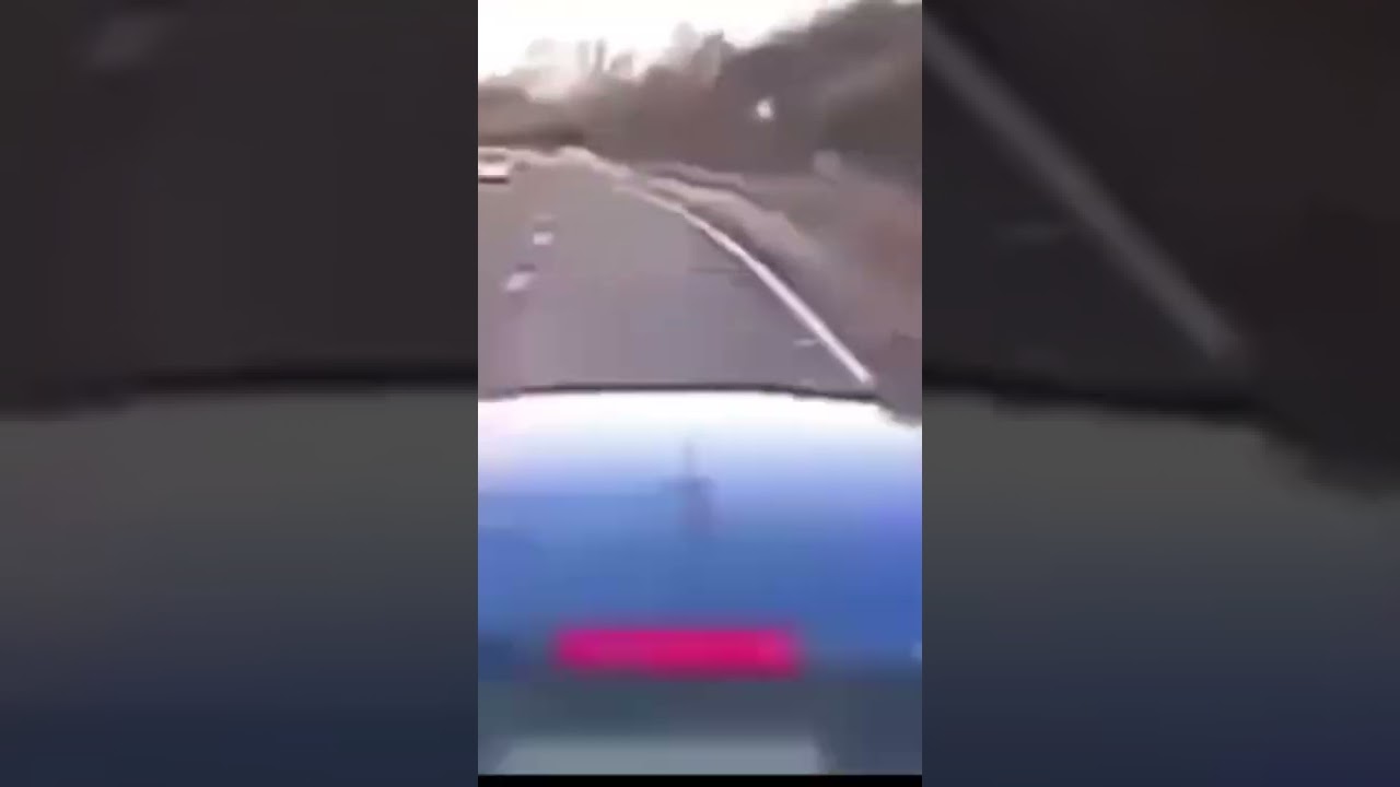Destruction promised, destruction delivered 💥🦭#vehicledestruction #carcrash #accident #dashcam