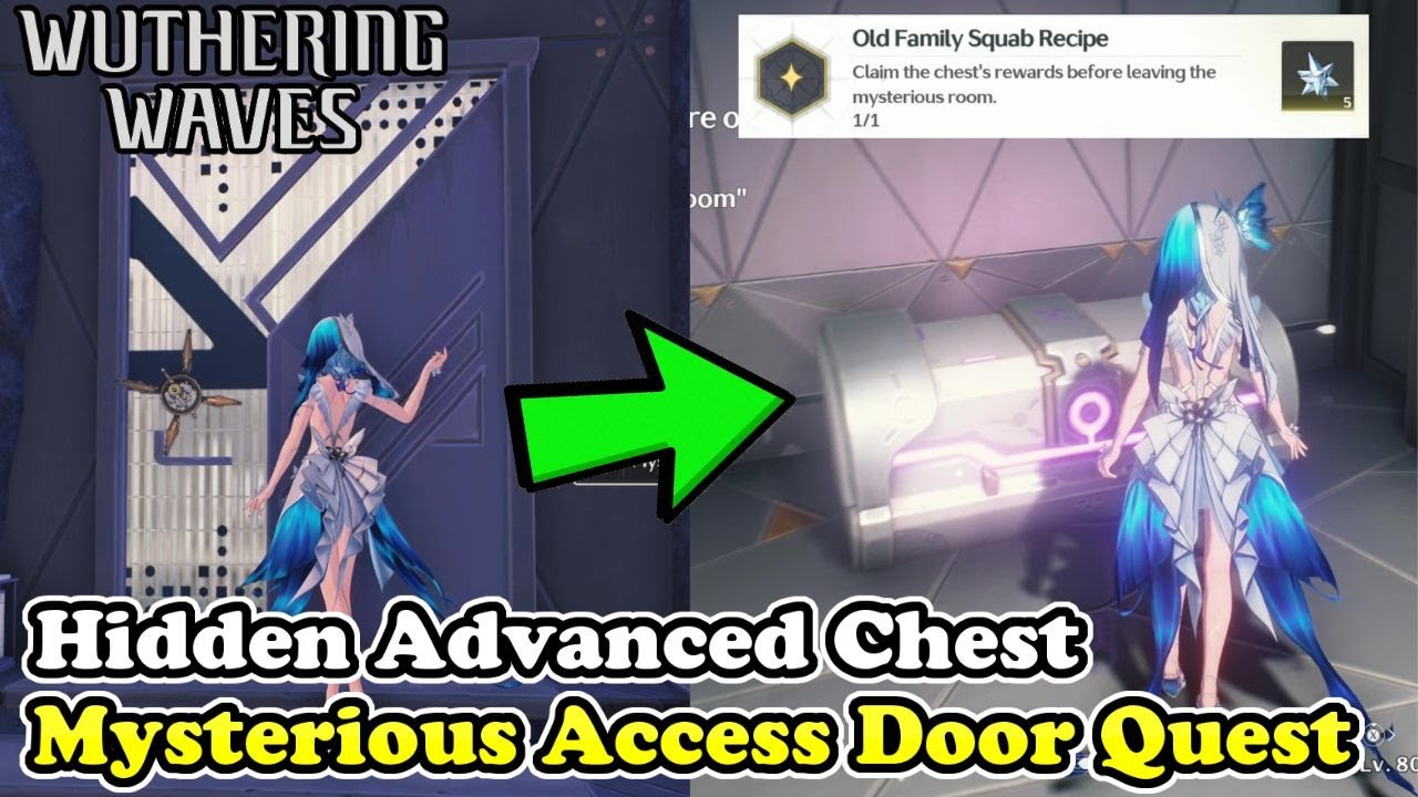 The Hidden Treasure of the Black Shores Wuthering Waves (Hidden Advanced Supply Chest)