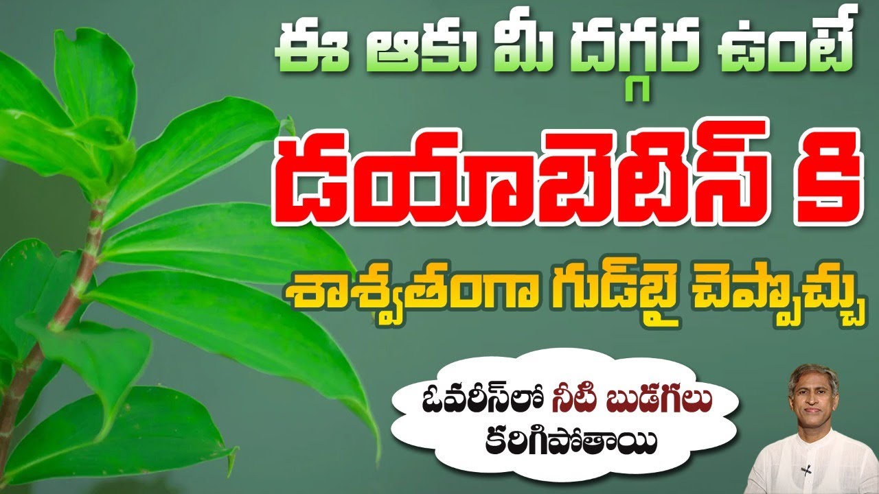Reduces PCOD | Ovarian Cysts | Controls Diabetes | Insulin Leaf Benefits | Dr.Manthena's Health Tips