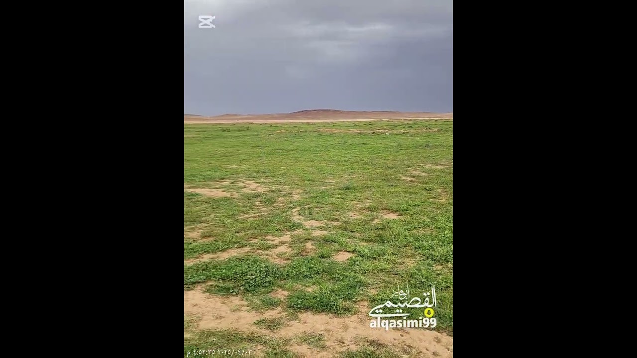 ربيع جبال سلمى وقاع الجحفة.2025/4/3