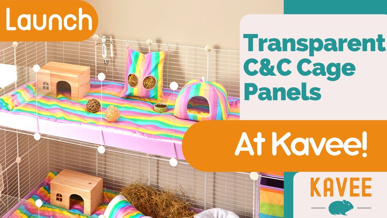 Transparent C&C Panels at Kavee!