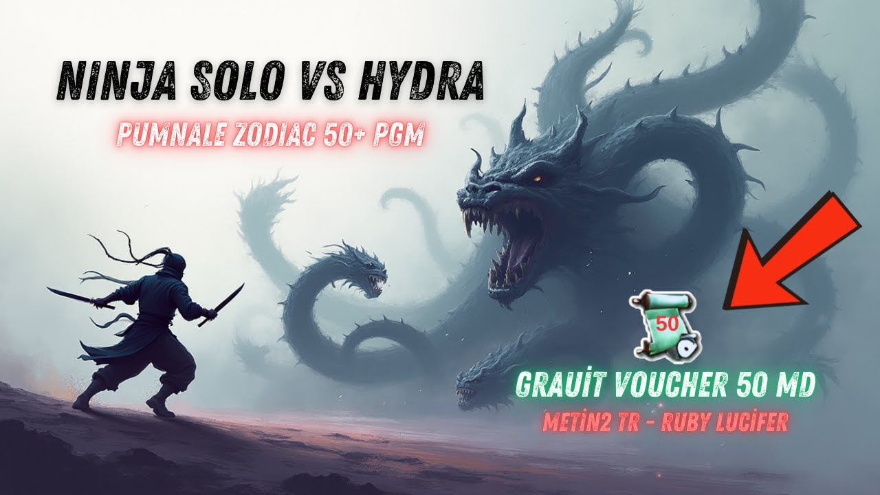 Metin2: Ninja echipat si pregatit de SOLO Hydra ✅