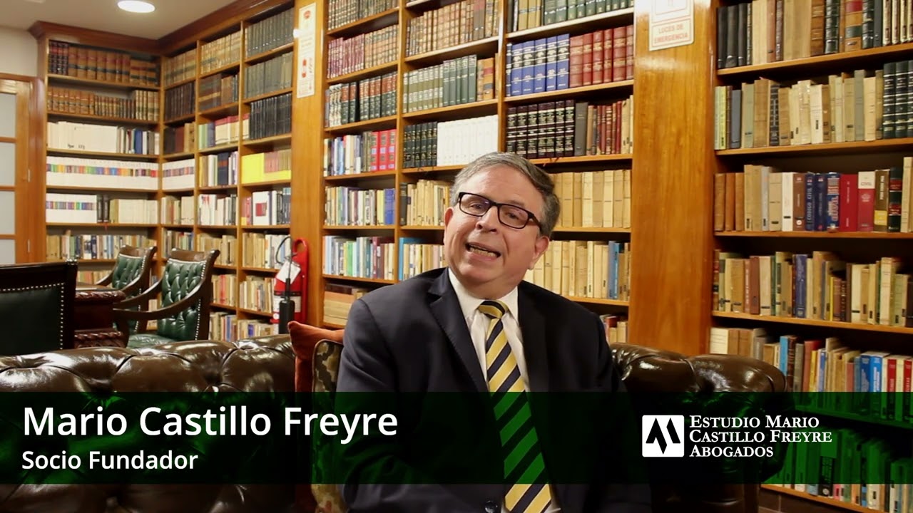 Carga de la prueba de los daños y perjuicios - Mario Castillo Freyre