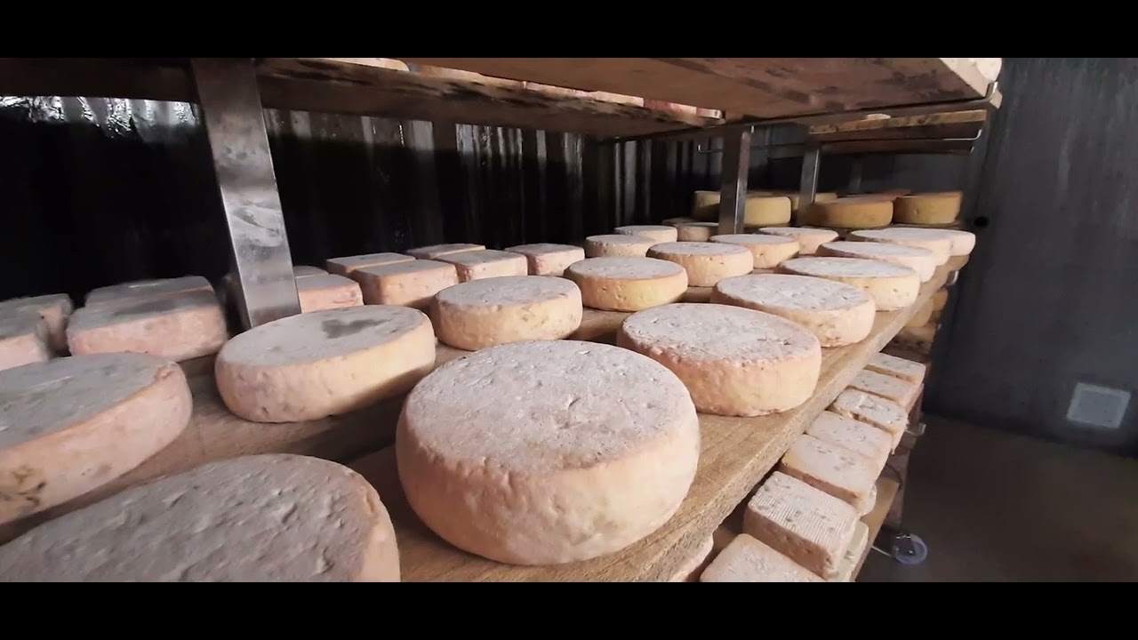 Travaux d'améliorations pastorales 2025