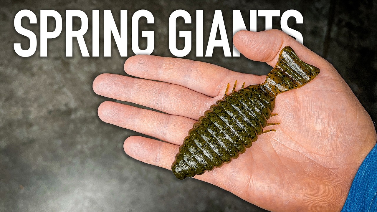 This Japanese Bluegill Bait Gets The Biggest Bites During The Spring!!